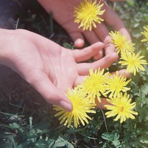 再见只是陌生人