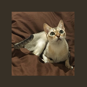 沙和（迷いの道）