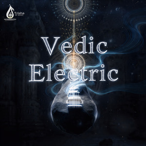 Vedic Electric