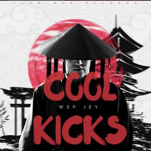 Cool Kicks