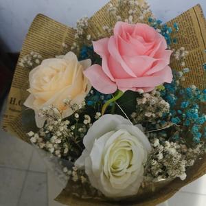 我的世界很小 装下你刚刚好