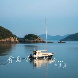 我配不上你 (Cover 夏天Alex)