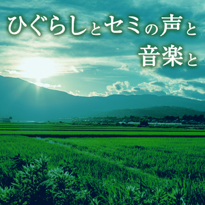 ひぐらしとセミの声と物悲しいギターの響き