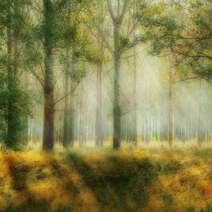 Passing Through (Original)