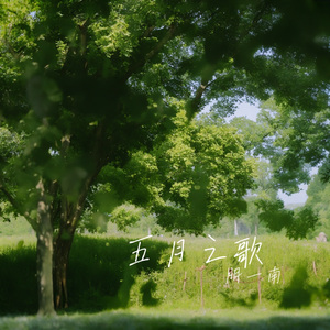 五月之歌
