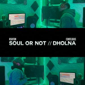 Soul or Not // Dholna (feat. contejous)