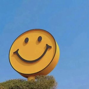 你走之后 梨花白了枝头