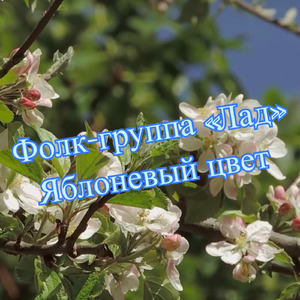 Яблоневый цвет
