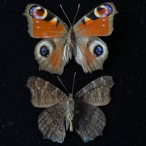 有点（Live well）prod by Red killer