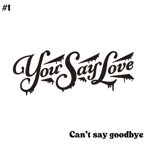 Cant’ say goodbye