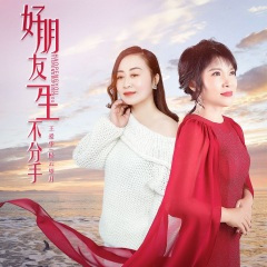 好朋友一生不分手 (DJ月之歌版)