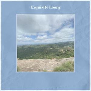Exquisite Loony