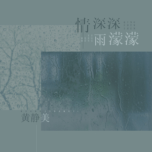 情深深雨濛濛 (DJ沈念 Remix伴奏)