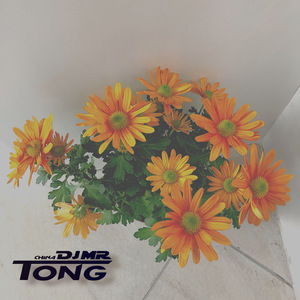 DJ Pasha Lee feat. Elia - Time