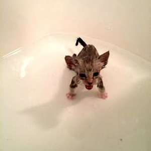 Blame It On The Kids