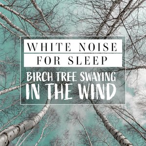 White Noise for Sleep - Birch Tree Swaying in the Wind, Pt. 9