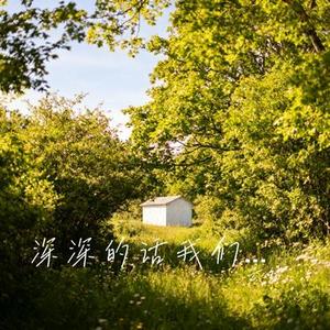 深深的话我们浅浅的说 (Cover 夏婉婉)