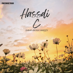 Hassdi c