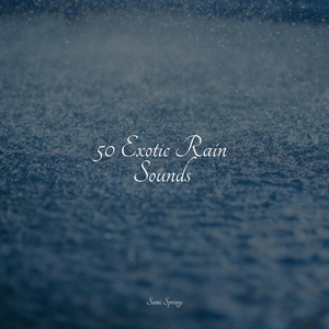 Seagulls on the Beach (Relaxing Ocean Waves)