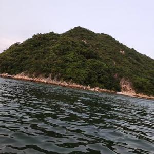 雨落梧桐夜未央