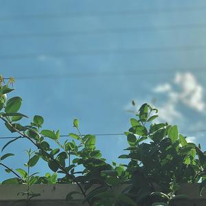 飞云之下（翻自 林俊杰）