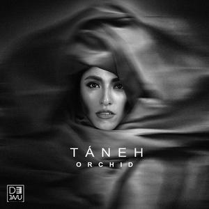TANEH