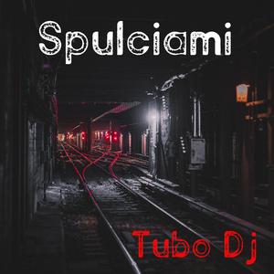 Spulciami