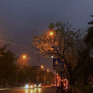 你的酒馆对我打了洋