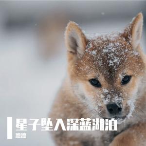 树影摇晃的午后