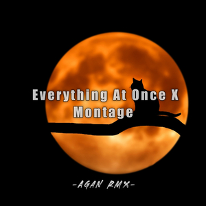 Everything At Once X Montage