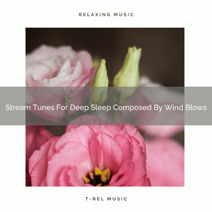 Waves With Birds, Flowing River And Wild Animals Noises