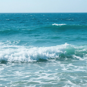 海畔同行