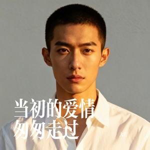 当初的爱情匆匆走过