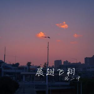 展翅飞翔