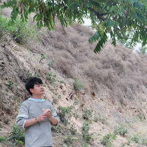 小公交（木吉他弹奏版）