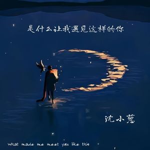 是什么让我遇见这样的你