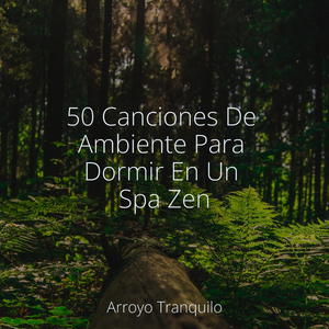 Energizar El Espíritu