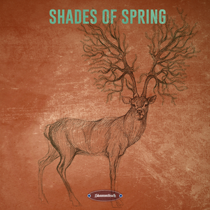 Geodesics (Original Mix)