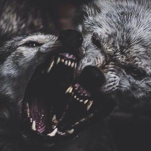 Middle Of The Summer Prod. DJ Shay