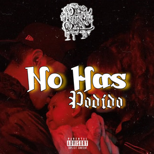No Has Podido
