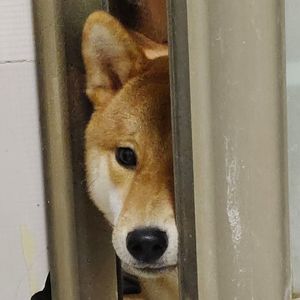 关于爱(Prod.Gr33nart Beats)