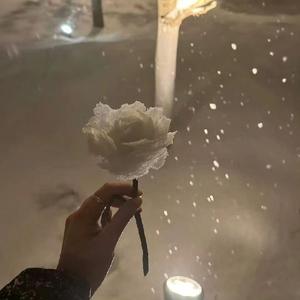 阿拉斯加海湾（Prod By Yn1Jasper）