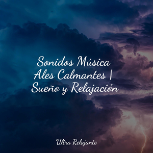 Serenidad De Los Chacras