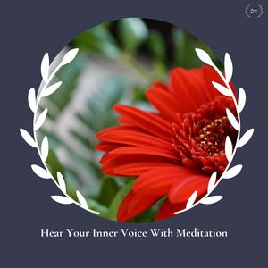 Restful Spa Melodies