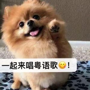 反对无效【67%Cover】