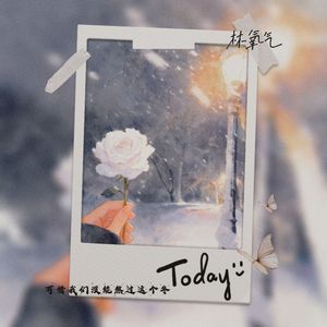 可惜我们没能熬过这个冬