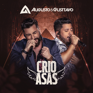Pulinho (Ao Vivo)