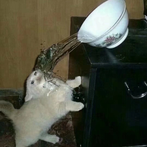 天边有金色的云吗？（prod EVOMUSIC)