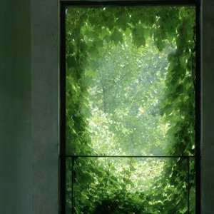 A Rainy Day