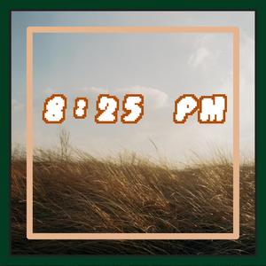 8:25 PM